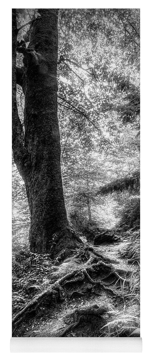 Fog Yoga Mat featuring the photograph Appalachian Trail in Black and White by Debra and Dave Vanderlaan