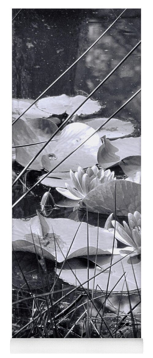 Waterlilies Yoga Mat featuring the photograph Aquatic Beauty in Black and White by Kathy Clark