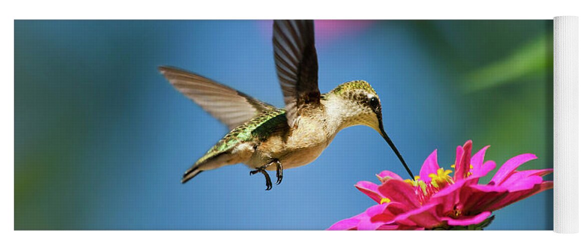 Hummingbird Yoga Mat featuring the photograph Art of Hummingbird Flight by Christina Rollo