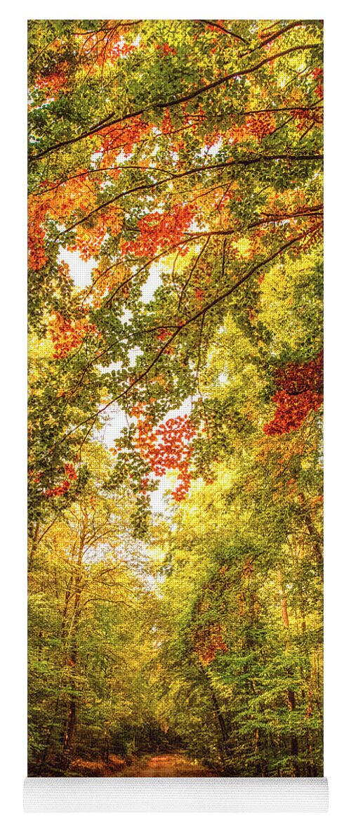 Autumn Yoga Mat featuring the photograph Autumn Colorful Path by Philippe Sainte-Laudy