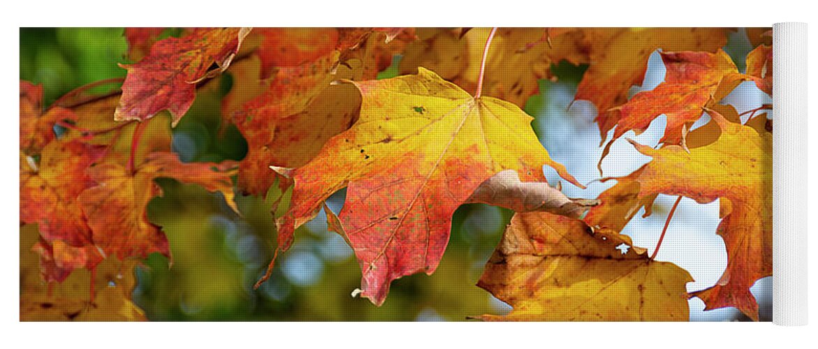 Ontario Yoga Mat featuring the photograph Autumn Colour by Lenore Locken