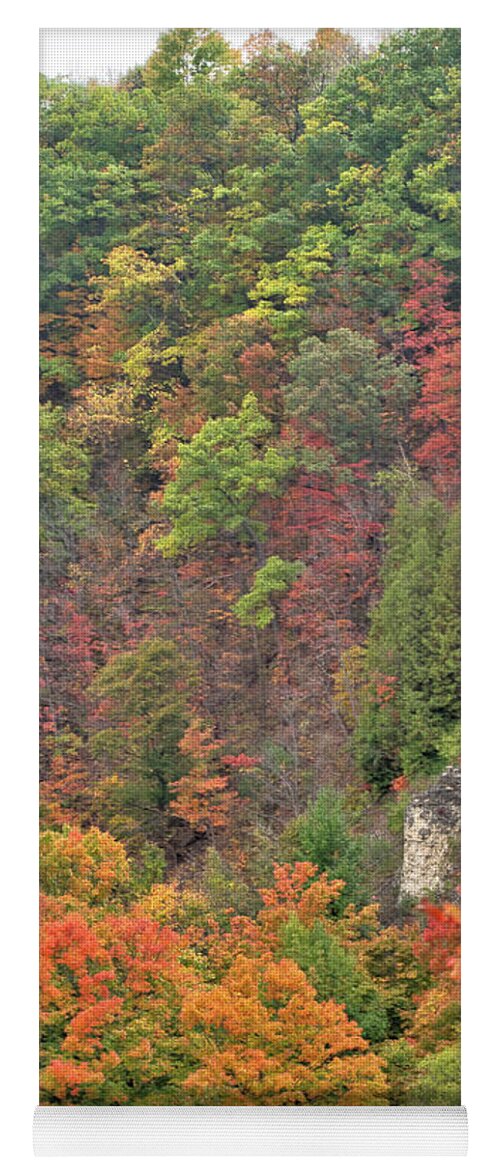 Canada Yoga Mat featuring the photograph Autumn Foliage by Nick Mares