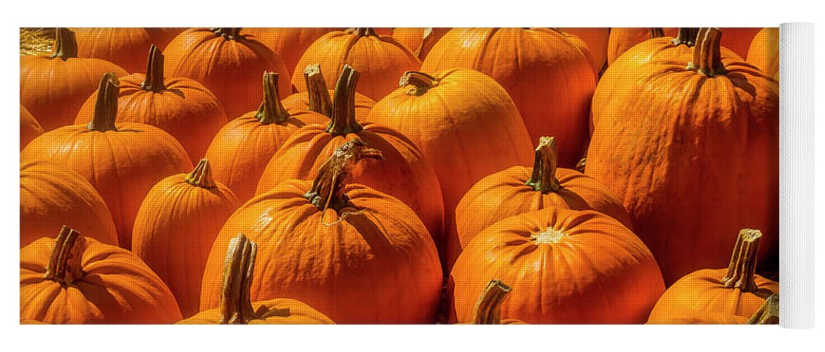 Pumpkins Yoga Mat featuring the photograph Autumn Pumpkin Field by Garry Gay