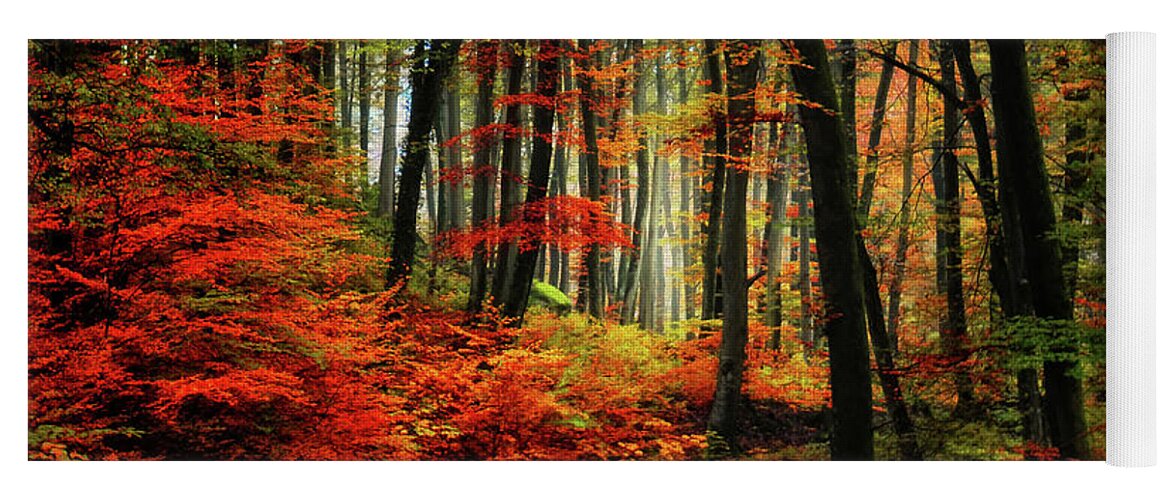 Autumn Yoga Mat featuring the photograph Autumn Road by Philippe Sainte-Laudy