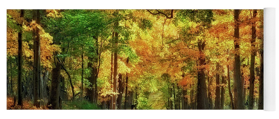 Autumn Yoga Mat featuring the photograph Autumn by Rodney Campbell