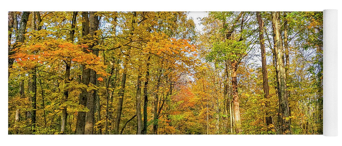 Autumn Yoga Mat featuring the photograph Autumn Trail by Chris Spencer