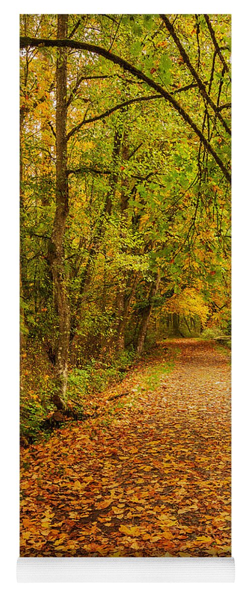 Nature Yoga Mat featuring the photograph Autumn Walk by Bob Cournoyer