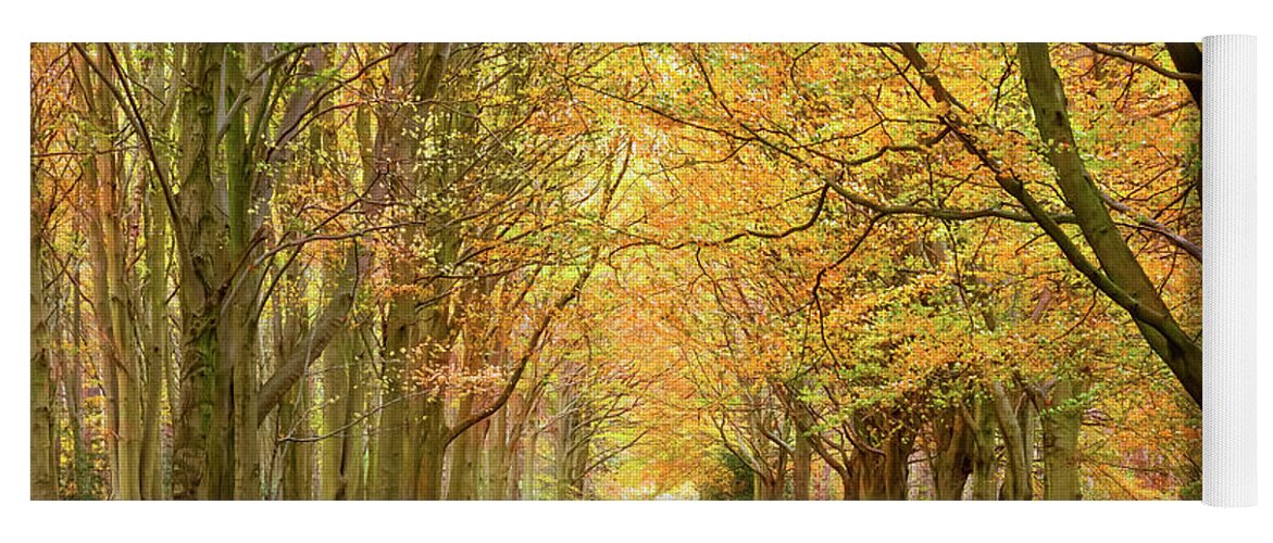Norfolk Yoga Mat featuring the photograph Norfolk autumn walk in the woodland by Simon Bratt