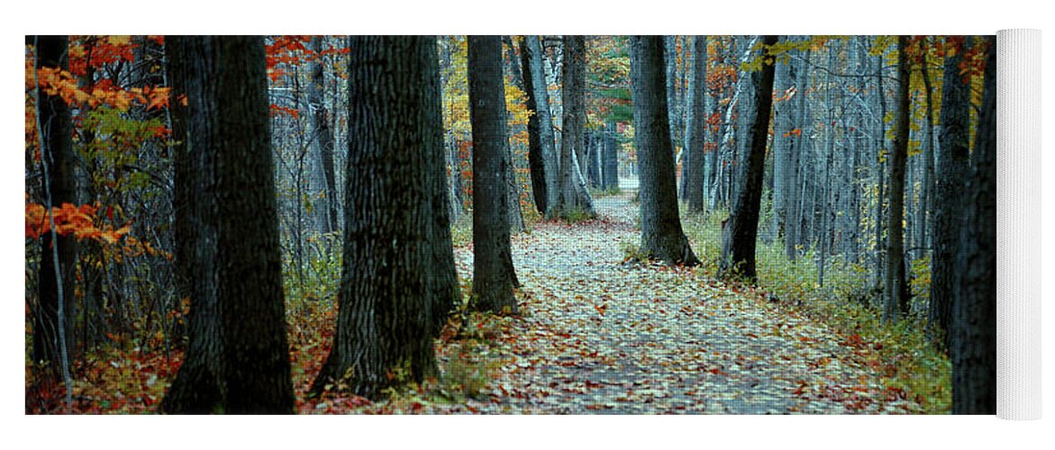 Path Yoga Mat featuring the photograph Autumn Way by John Meader