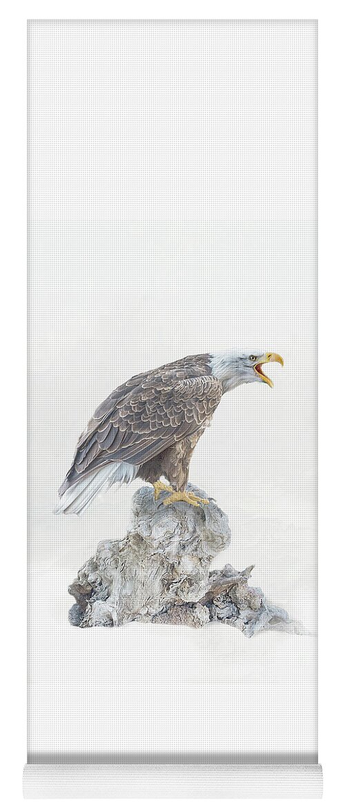 Bald Eagle Yoga Mat featuring the photograph Bald eagle in winter snow by Brian Tarr
