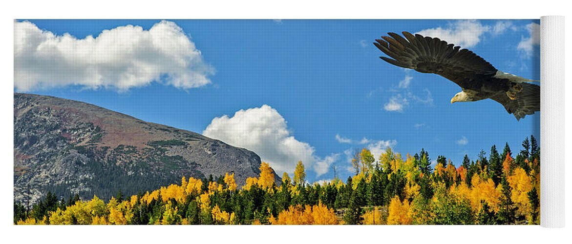 Aspen Yoga Mat featuring the photograph Bald Eagle over the Aspen by Stephen Johnson