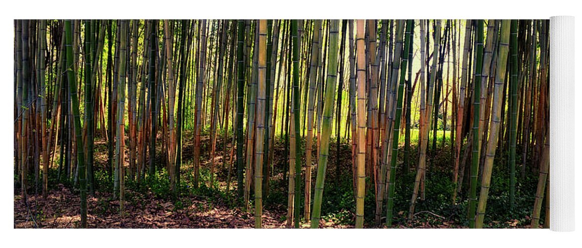 Forest Yoga Mat featuring the photograph Bamboo Forest by Frank Wilson