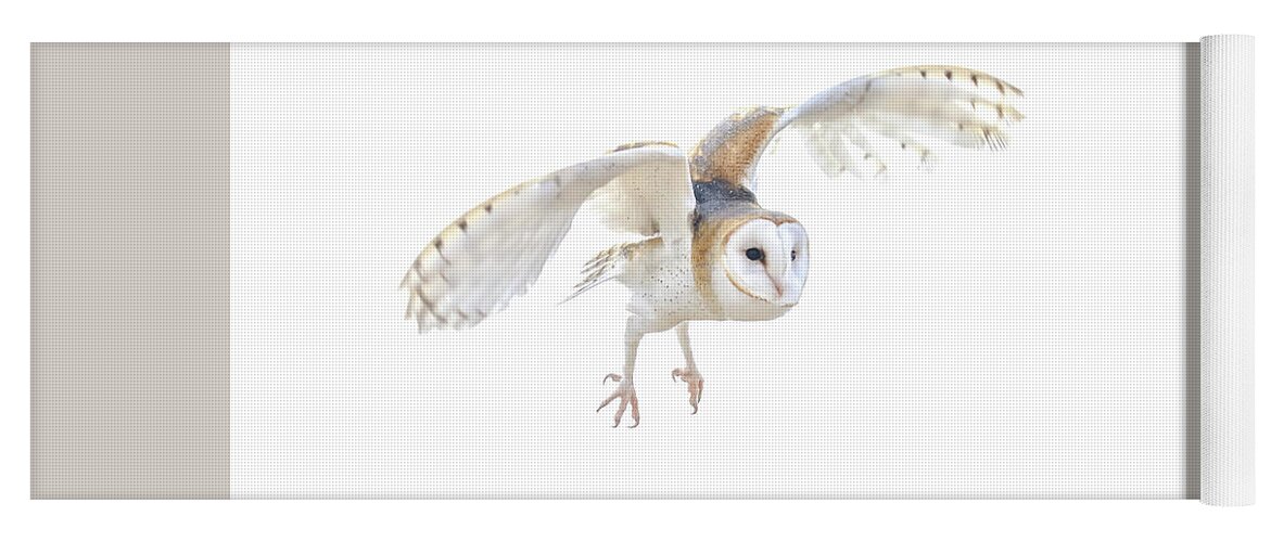 7932 Yoga Mat featuring the photograph Barn Owl in Flight by Tom and Pat Cory
