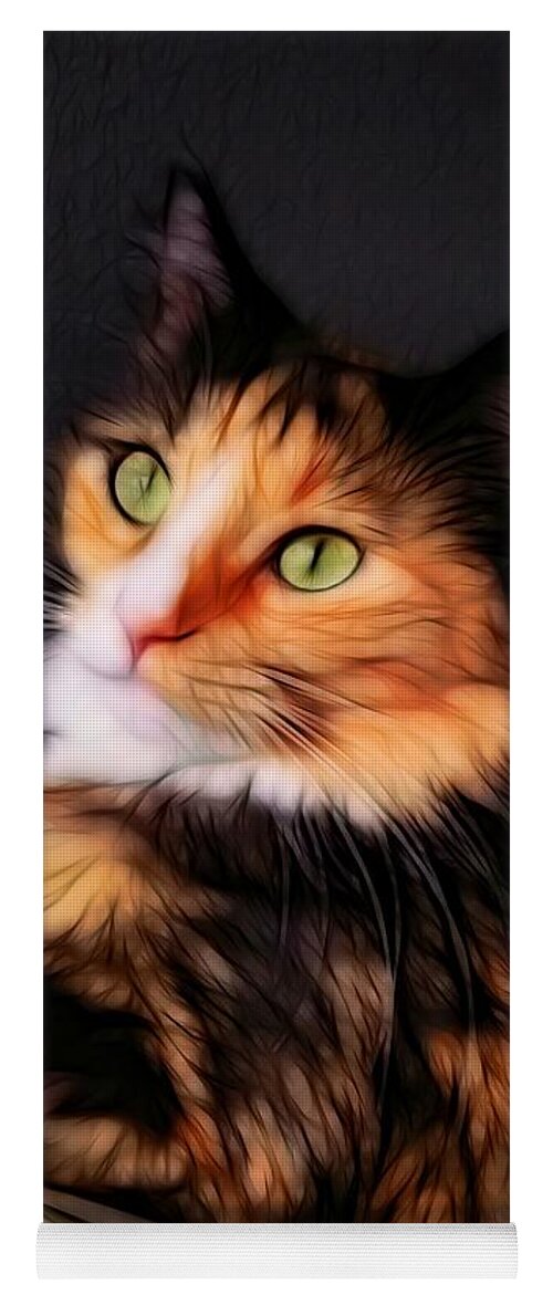 Cat Yoga Mat featuring the photograph Beautiful Cat by Stoney Lawrentz