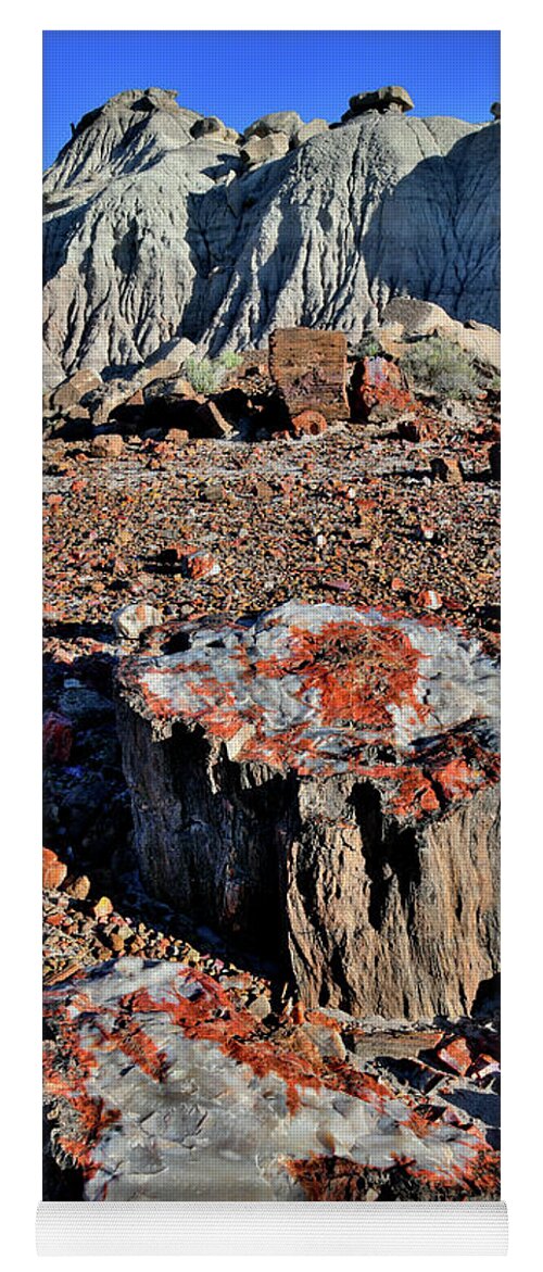 Petrified Forest National Park Yoga Mat featuring the photograph Beautiful Stumps of Petrified Wood in Jasper Forest by Ray Mathis