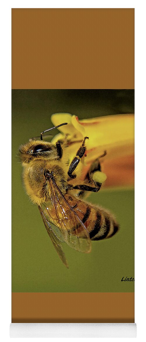 Bee Yoga Mat featuring the photograph European Honey Bee by Larry Linton