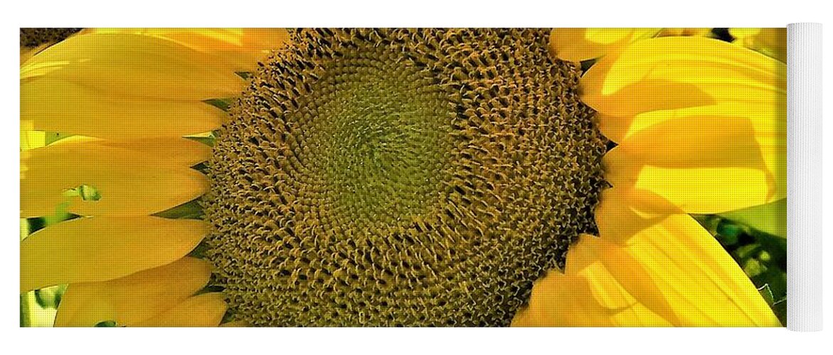 - Bee On A Sunflower Yoga Mat featuring the photograph - Bee on a Sunflower by THERESA Nye