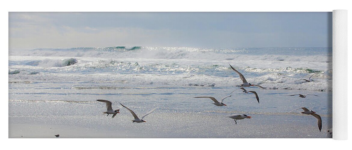  Yoga Mat featuring the photograph Bird Flight at Moonlight Beach by Catherine Walters