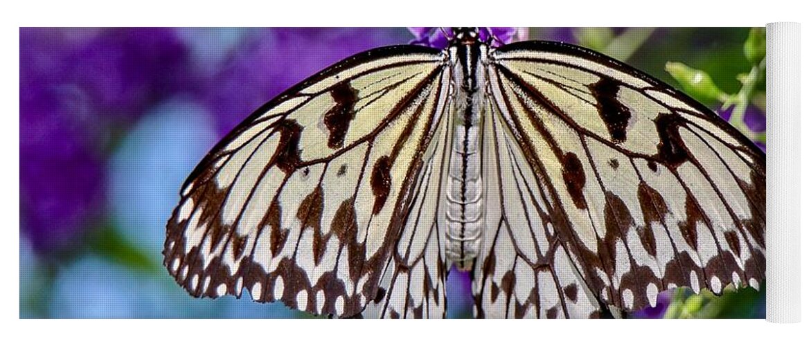 Closeup Yoga Mat featuring the photograph Black and White Paper Kite Butterfly by Susan Rydberg