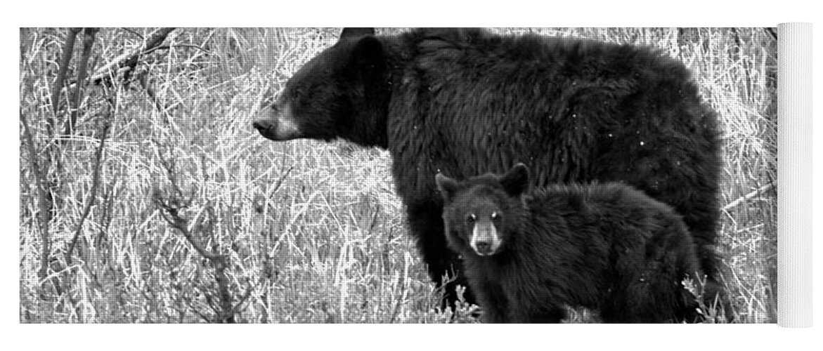 Black Bear Yoga Mat featuring the photograph Black Bear Sow With Junior Black And White by Adam Jewell