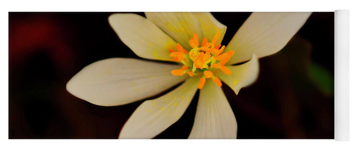 Macro Photography Yoga Mat featuring the photograph Bloodroot by Meta Gatschenberger