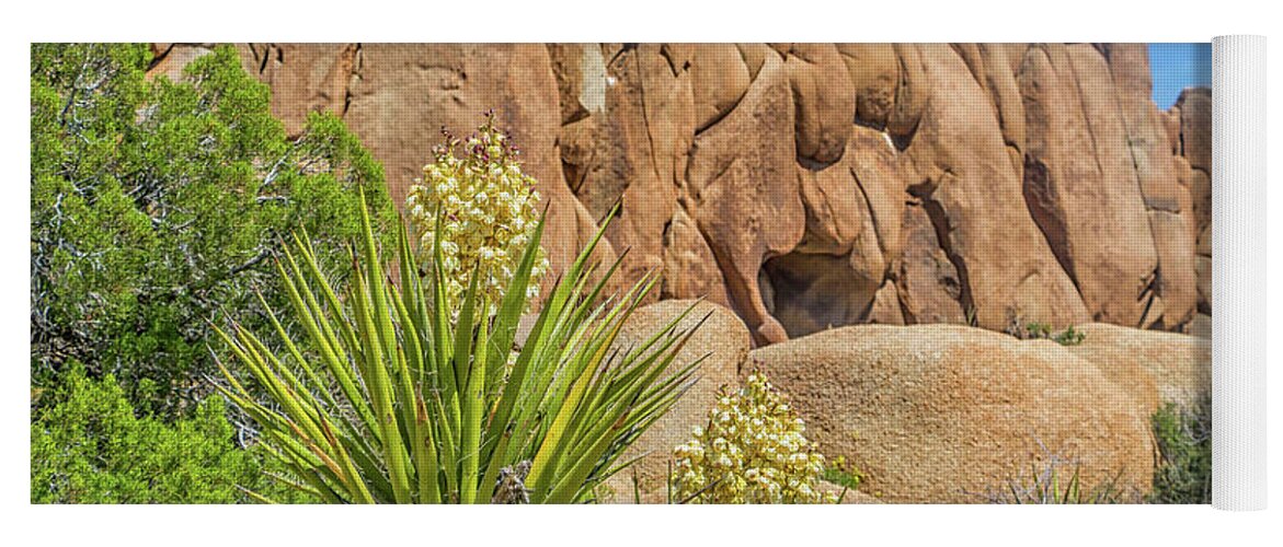 Joshua Tree National Park Yoga Mat featuring the photograph Blooms Among the Jumbo Rocks by Marisa Geraghty Photography