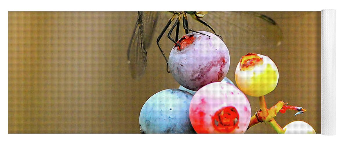 Dragonfly Yoga Mat featuring the photograph Blue dasher on blueberries by Barry Bohn