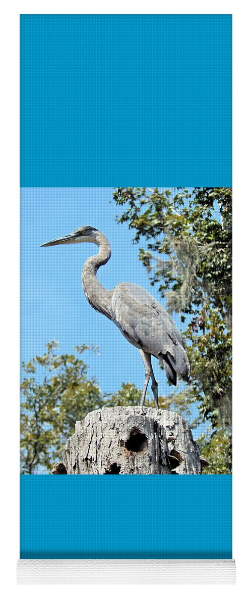 Bird Yoga Mat featuring the photograph Blue Heron King of the Tree by Karen Stansberry