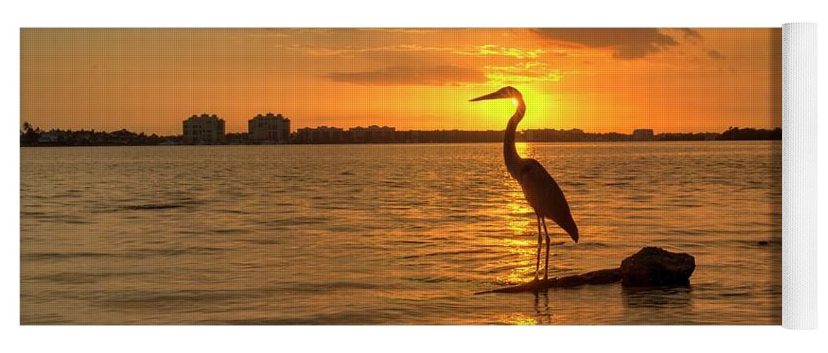 Blue Heron Sunset Yoga Mat featuring the photograph Blue Heron Sunset Marco Island by Joey Waves