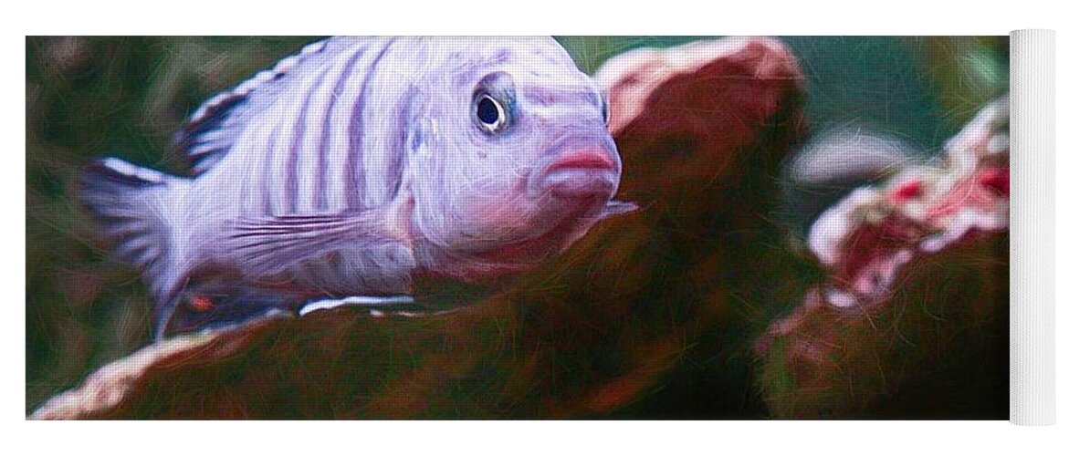 African Cichlid Yoga Mat featuring the digital art Blue Zebra Above Cave Impressionism by Don Northup