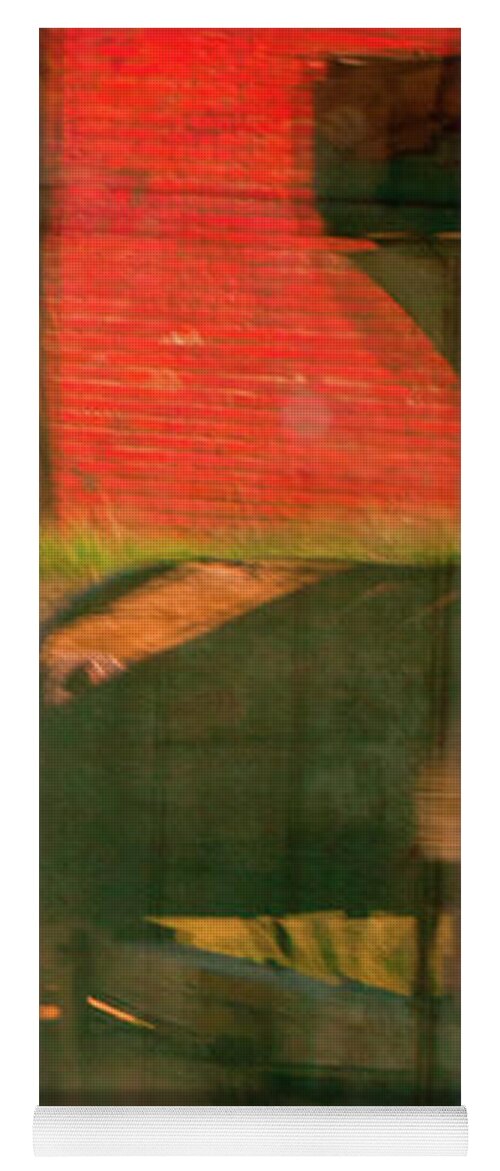 Reflections Yoga Mat featuring the photograph Bodie 4 by Catherine Sobredo