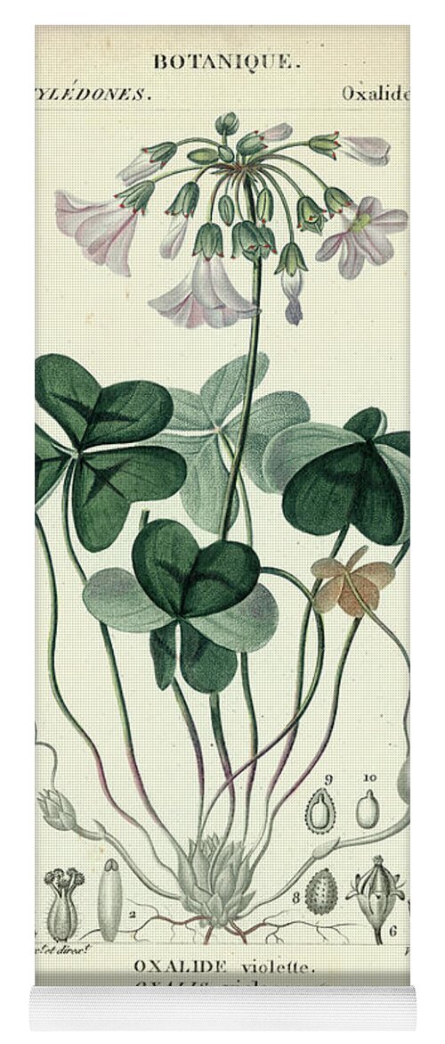 Botanical Yoga Mat featuring the painting Botanique Study In Lavender I by Turpin