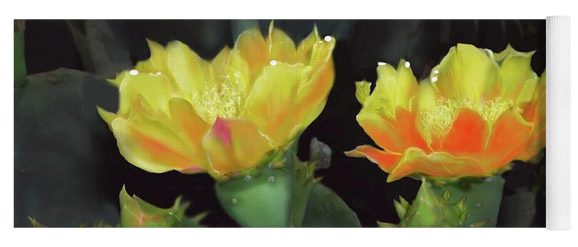 Cactus Yoga Mat featuring the digital art Bright Blossum, Sharp Thorns by Cynthia Westbrook
