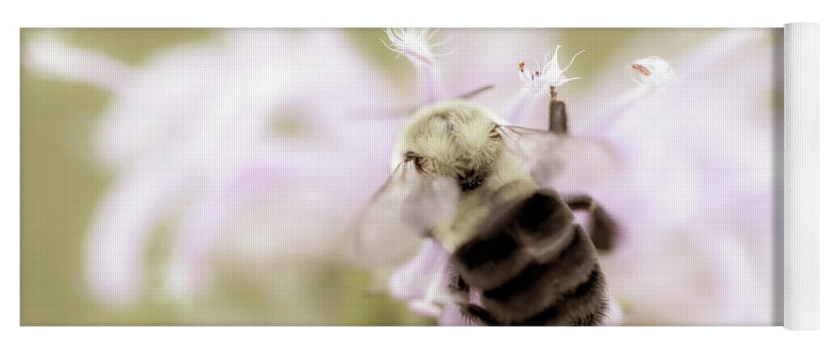 Animals Yoga Mat featuring the photograph Macro Photography - Bee #1 by Amelia Pearn