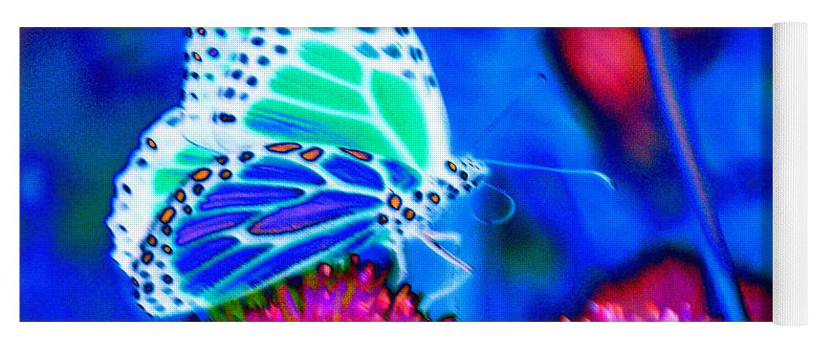 Butterfly Blue. Antennae Yoga Mat featuring the photograph Butterfly Blue by Tom Kelly