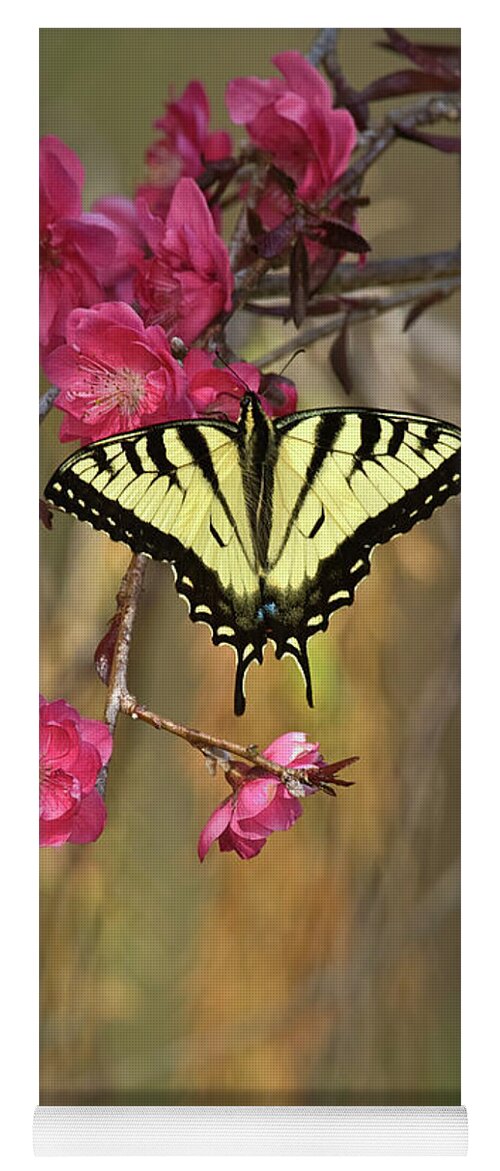 Butterflies Yoga Mat featuring the photograph Butterfly Magic by Alan Schroeder