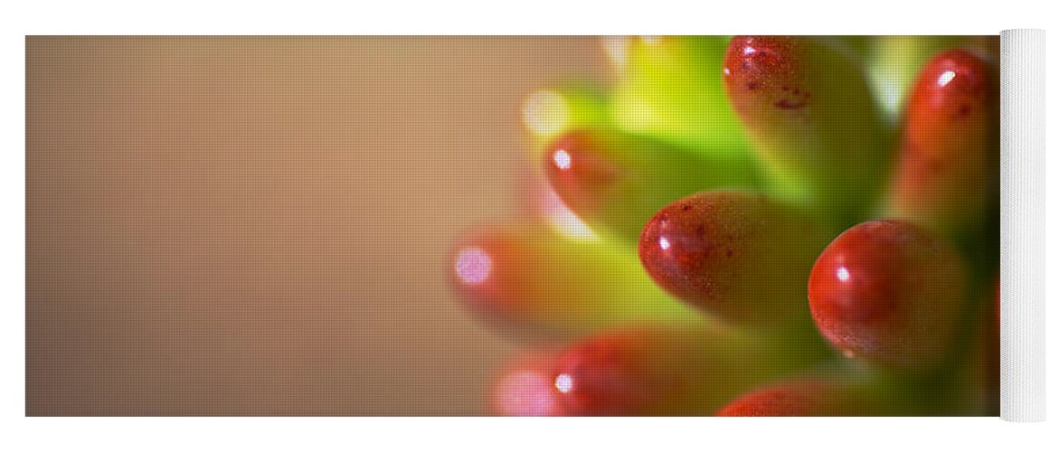 Cactus Of Red And Green Yoga Mat featuring the photograph Cactus Of Red and Green by Joy Watson