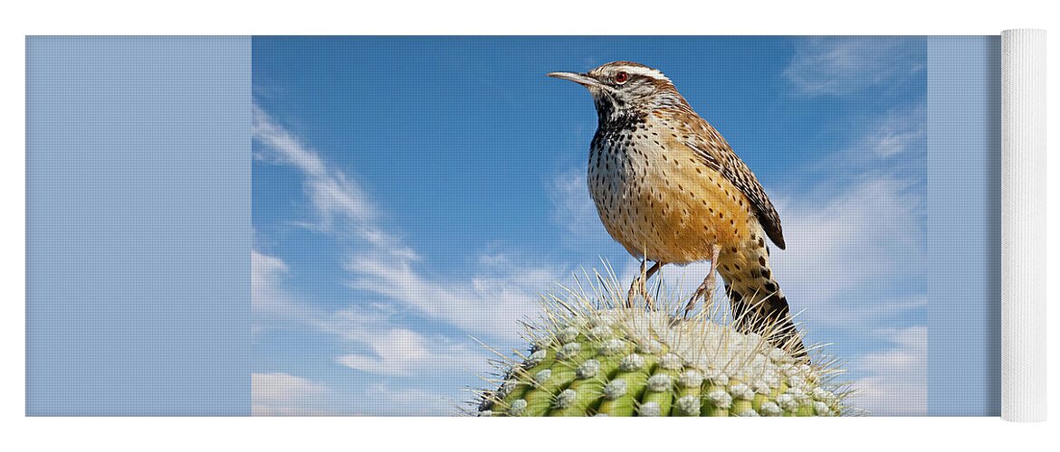 Adult Yoga Mat featuring the photograph Cactus Wren on a Saguaro Cactus by Jeff Goulden
