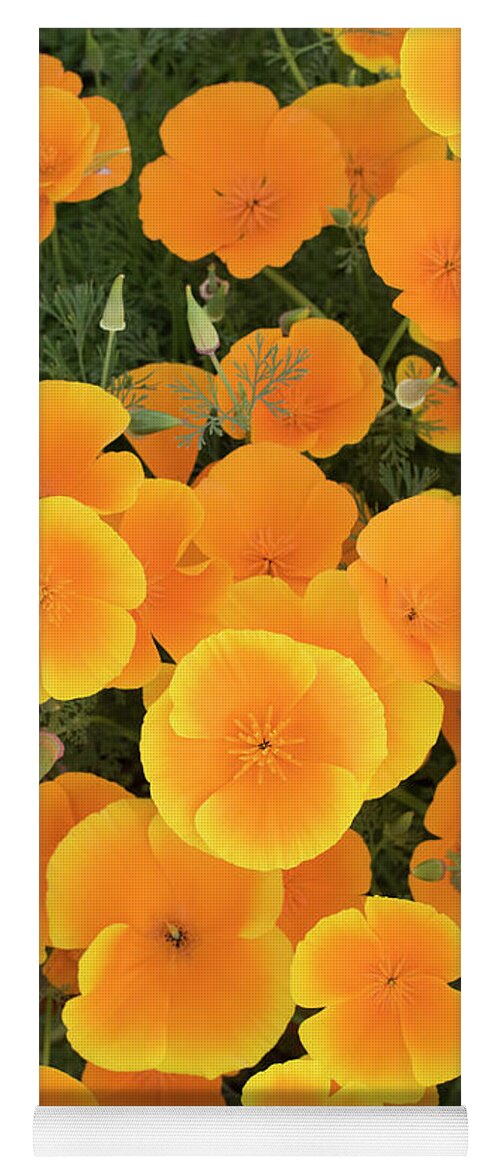 Eschscholzia Californica Yoga Mat featuring the photograph California Poppies by Tim Gainey