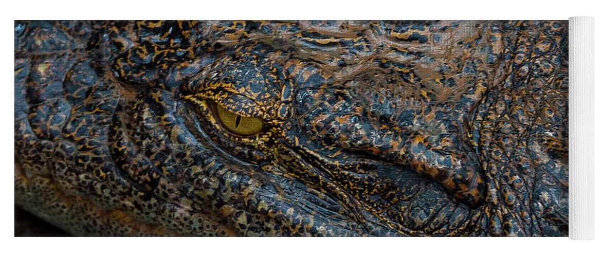 Crocodile Yoga Mat featuring the photograph Cambodian Croc-Signed-2335 by J L Woody Wooden