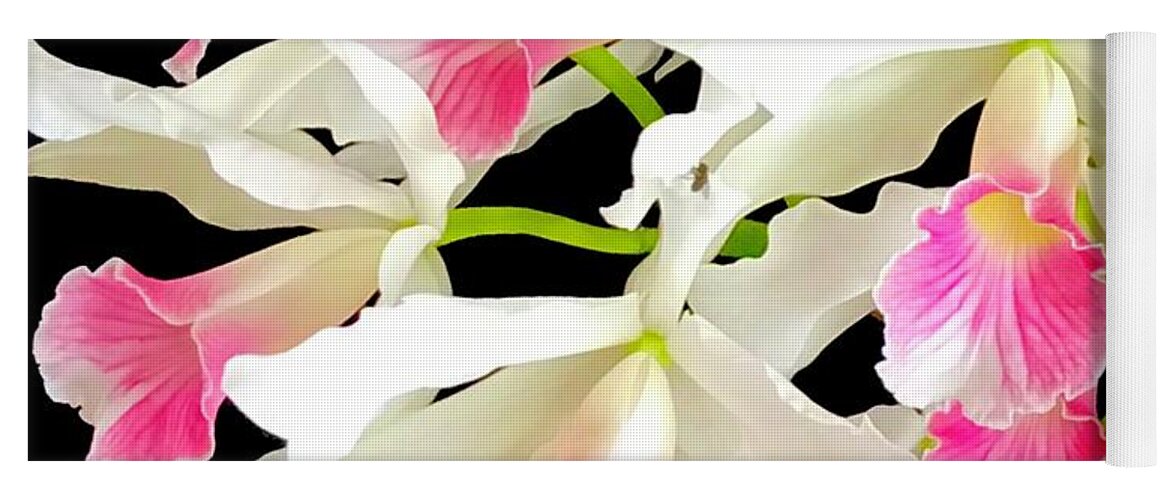 #flowersofaloha #cattleyaorchidsinpink #aloha #flowers #orchids #hiloorchidshow #pink Yoga Mat featuring the photograph Cattleya Aloha in Pink by Joalene Young