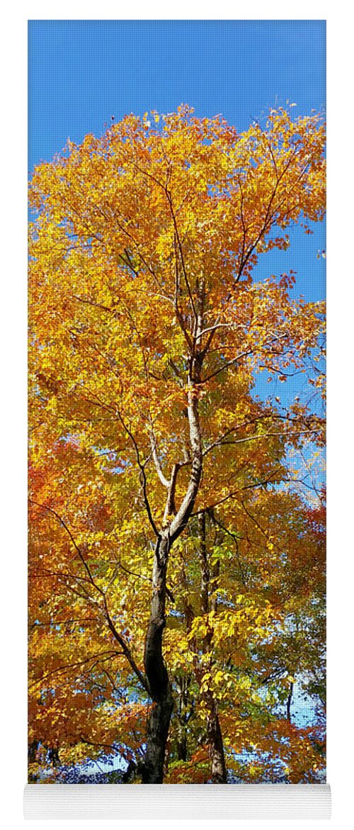 Autumn Leaves Yoga Mat featuring the mixed media Changing Seasons by Ally White