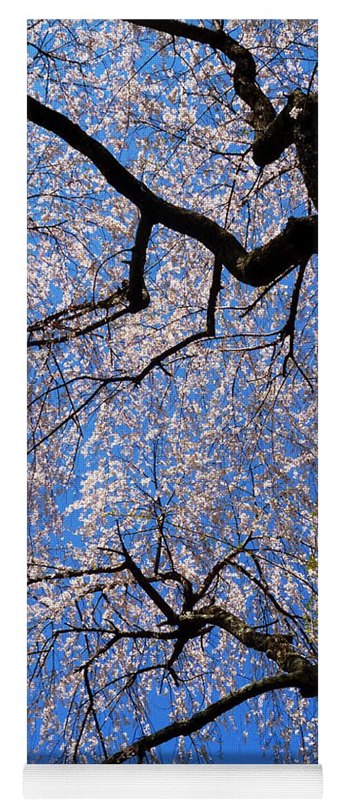 Spring Landscape Yoga Mat featuring the photograph Cherry Blossom Abstract by Mike McBrayer