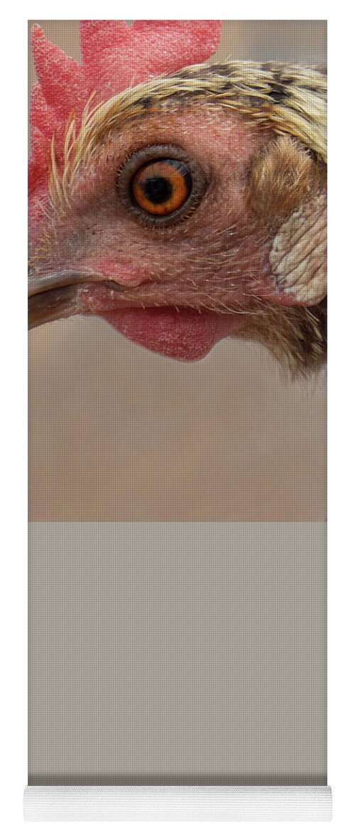 Yoga Mat featuring the photograph Chicken Face 2 by Christy Garavetto