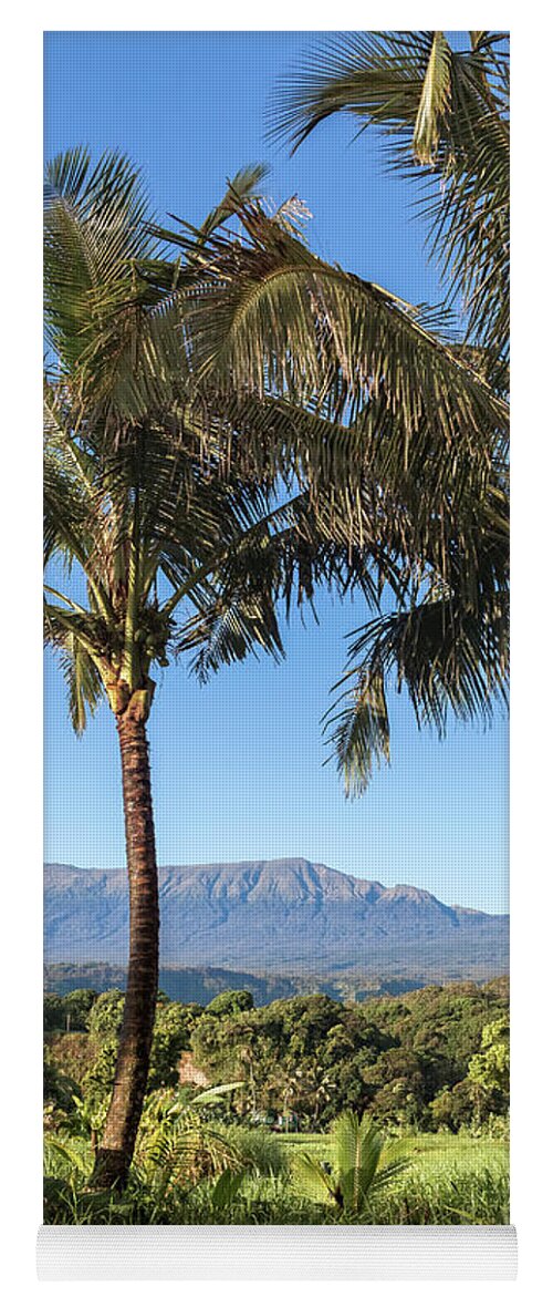 Hawaii View Yoga Mat featuring the photograph Coconut Hawaii View by Chris Spencer