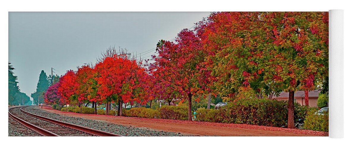Fall Yoga Mat featuring the photograph Colorful Fall along the Railroad, Cupertino by Amazing Action Photo Video