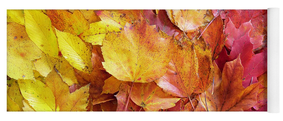 Fall Yoga Mat featuring the photograph Colors of Fall - Yellow to Red by Jason Fink