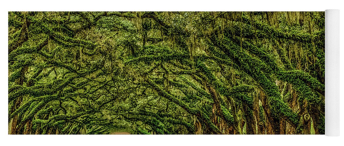 Wormsloe Historic Site Yoga Mat featuring the photograph Come Walk With Me by Marcy Wielfaert