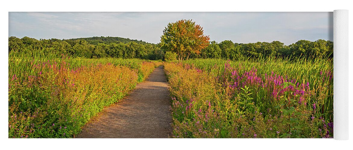 Concord Yoga Mat featuring the photograph Concord Great Meadows Lupine Pathway by Toby McGuire