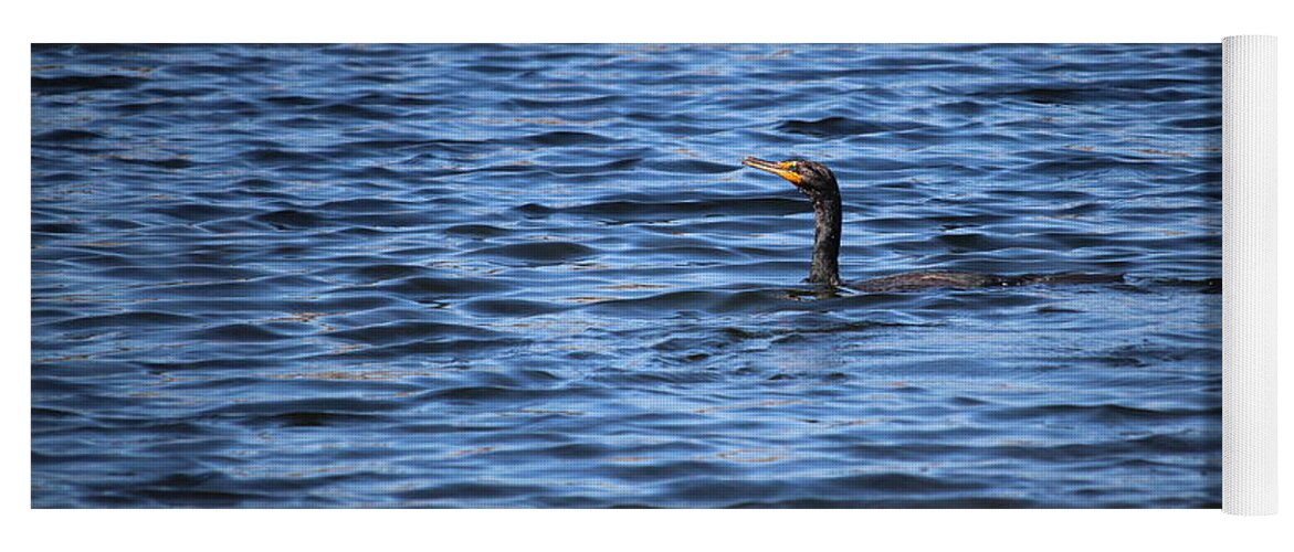 Double-crested Cormorant Yoga Mat featuring the photograph Cormorant Floats In The Blue Water by Cynthia Guinn